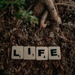 Term vs Whole Life Insurance: Which Is Better in 2026?